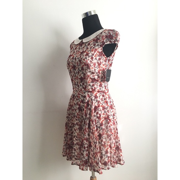 SOLD ✔️ NWT Poplin Collar Floral Dress from ZARA - Picture 4 of 8